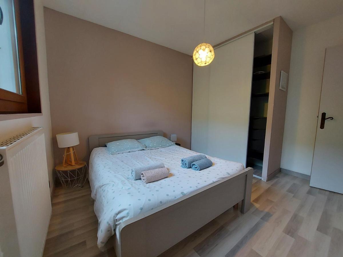 A 200 Metres Du Lac D'Annecy, Spacieux Appartement 3 Chambres Avec Terrasse Et Jardin Sévrier Extérieur photo